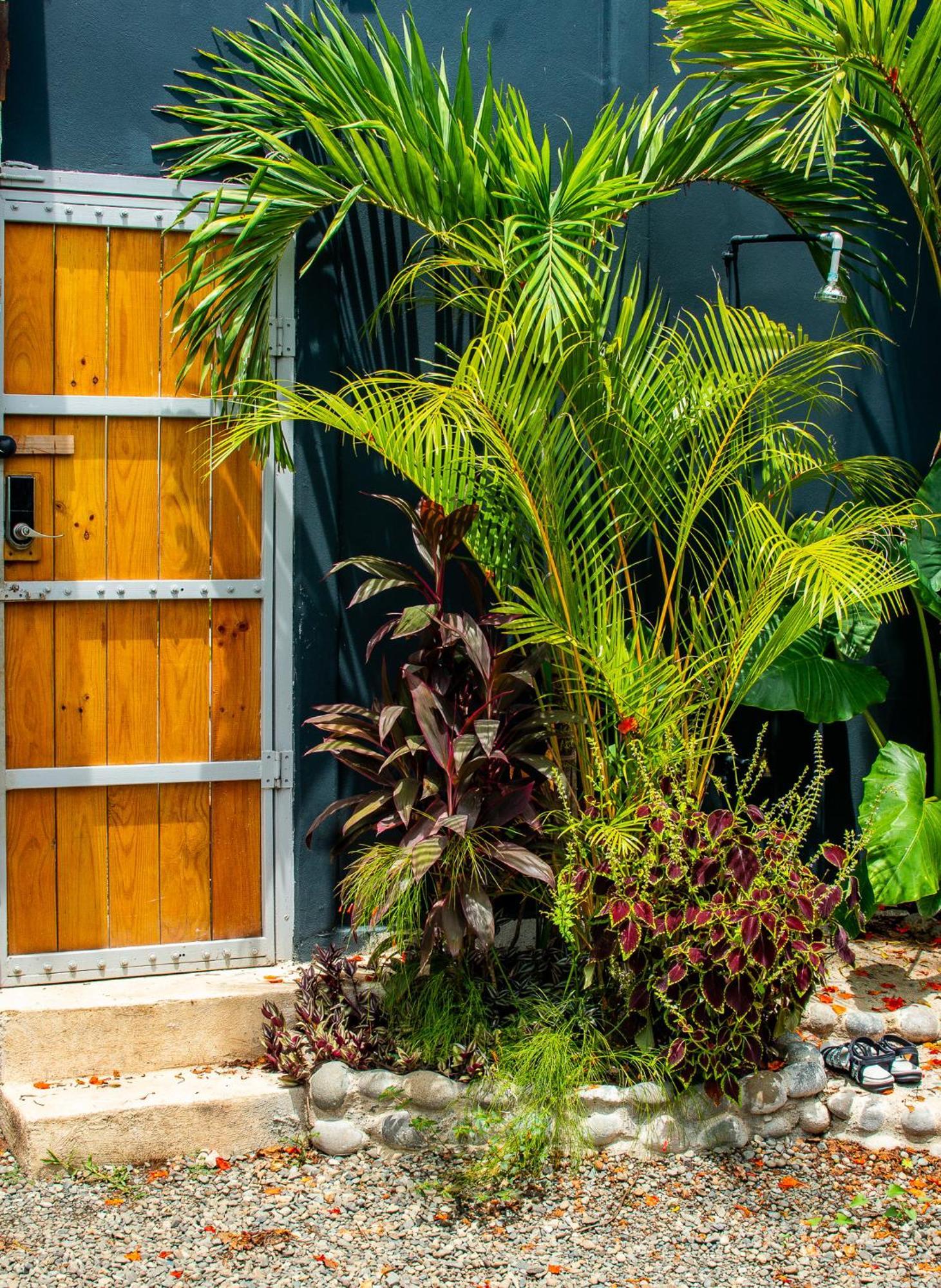 Mecca Hotel Puerto Viejo de Talamanca Kültér fotó