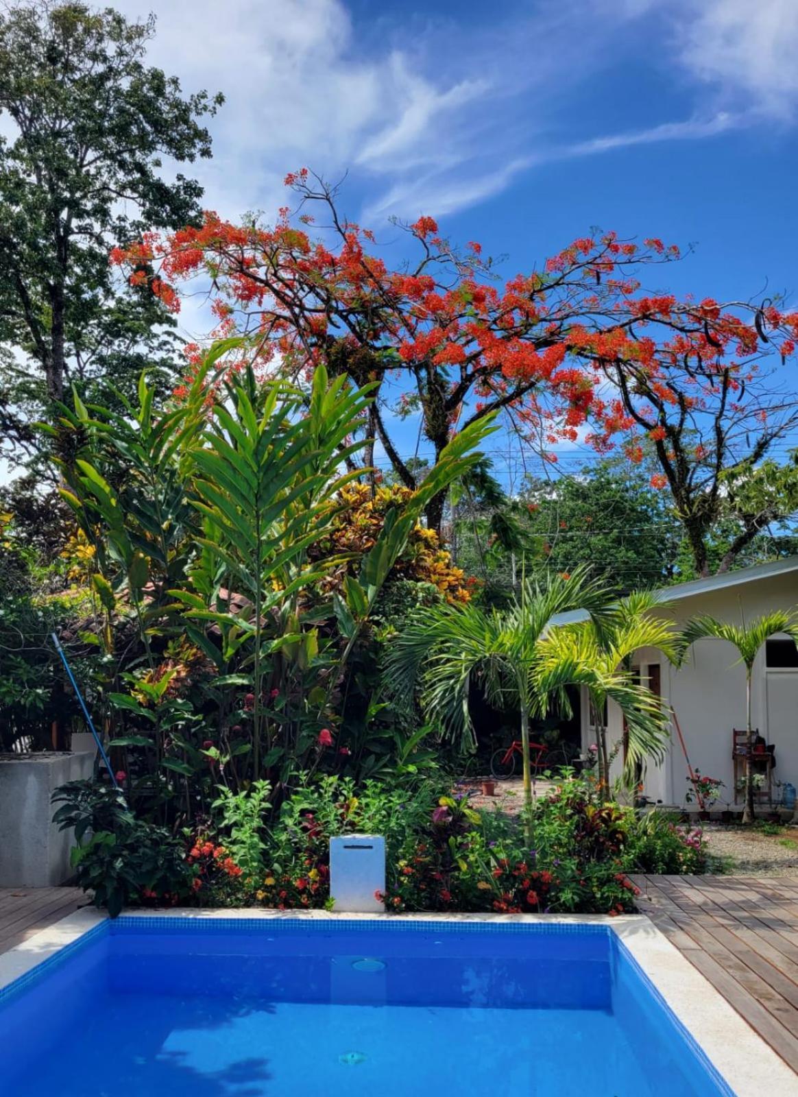 Mecca Hotel Puerto Viejo de Talamanca Kültér fotó