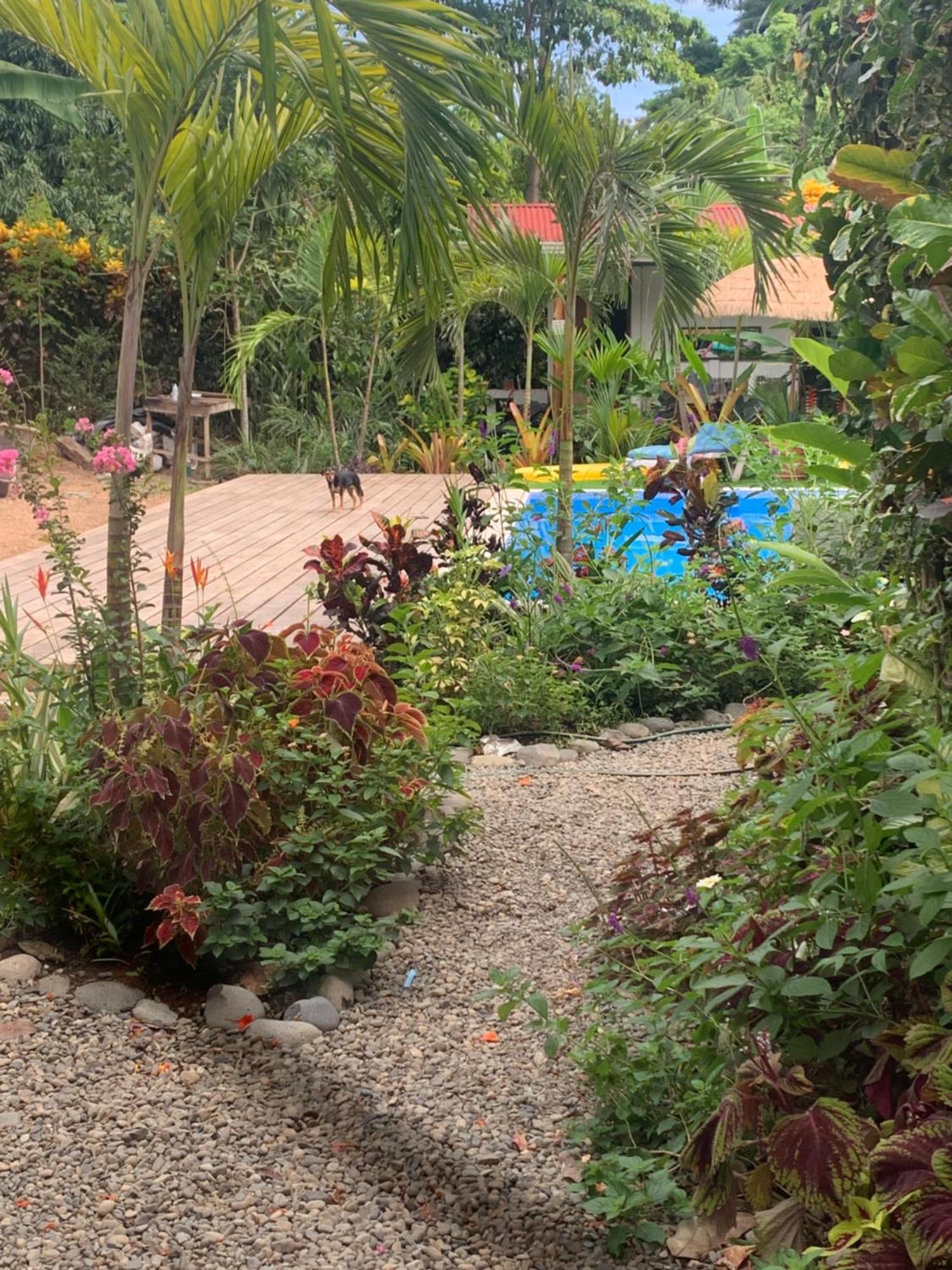 Mecca Hotel Puerto Viejo de Talamanca Kültér fotó