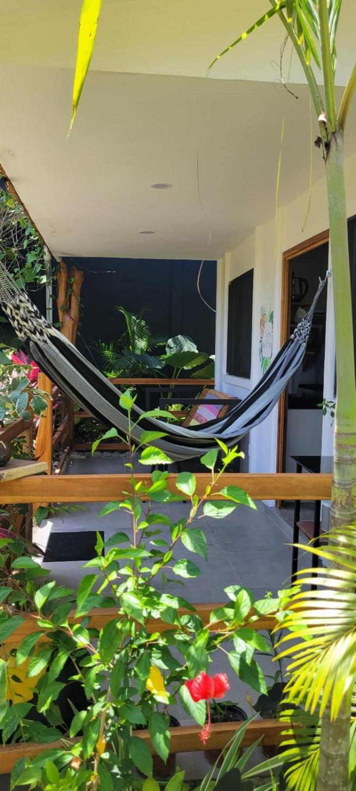 Mecca Hotel Puerto Viejo de Talamanca Kültér fotó